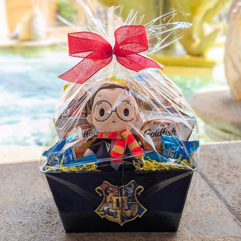 Wizard's Welcome Package
